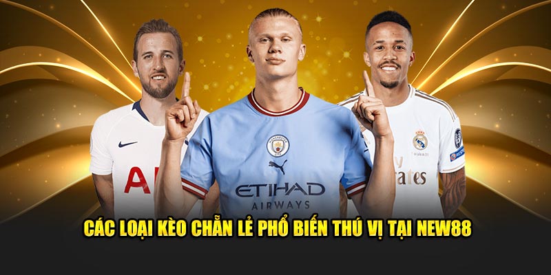 Các loại kèo chẵn lẻ phổ biến thú vị tại New88